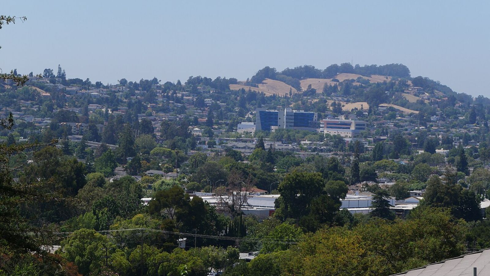 Dry Cleaning pickup and delivery in Hayward, California
