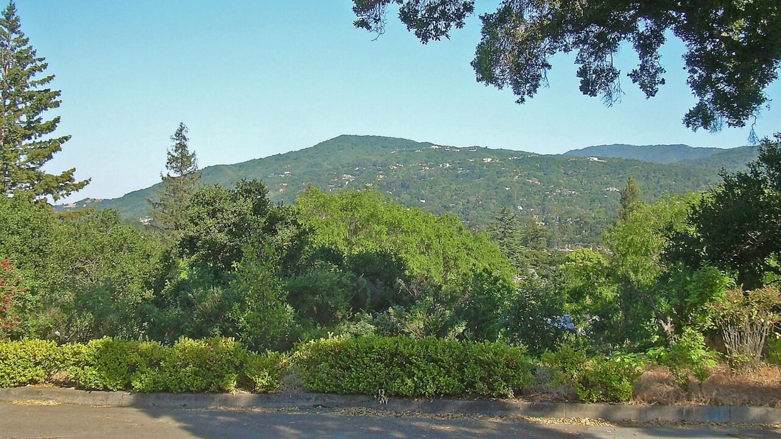 Dry Cleaning pickup and delivery in Los Gatos, California