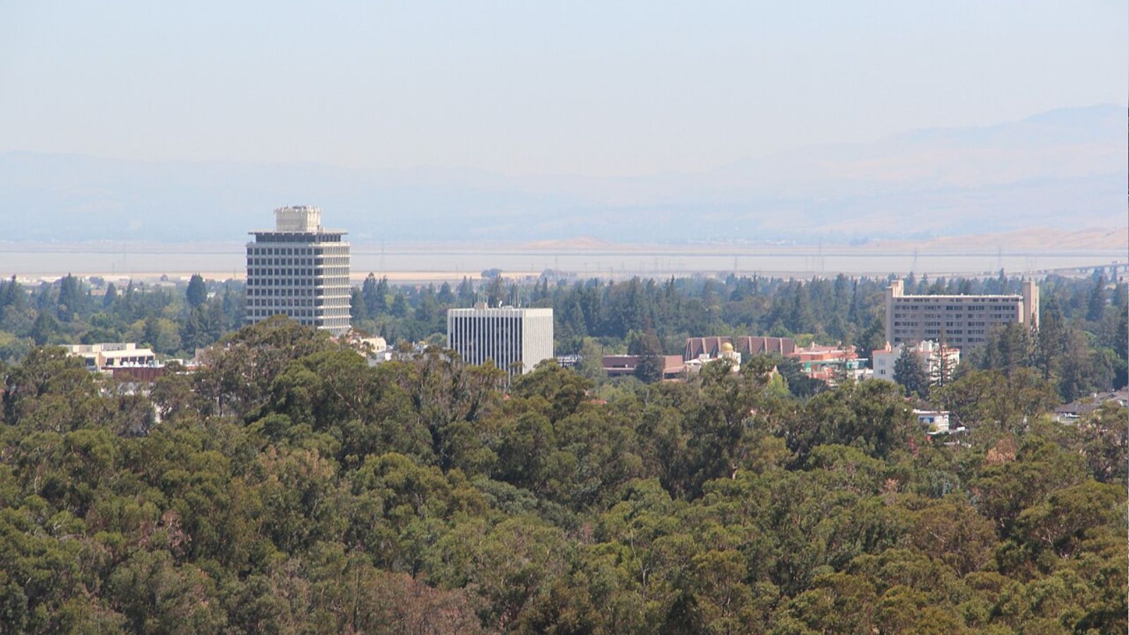 Dry Cleaning pickup and delivery in Palo Alto, California