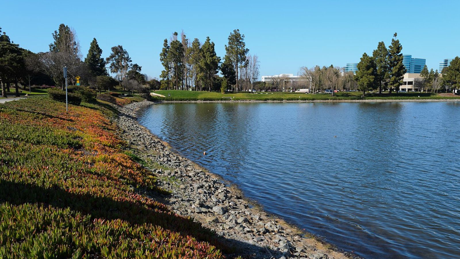 Wash & Fold pickup and delivery in Redwood Shores, California