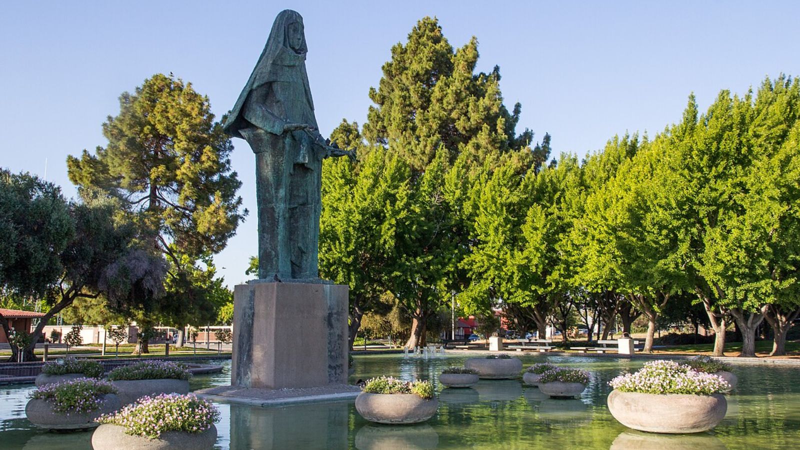 Wash & Fold pickup and delivery in Santa Clara, California