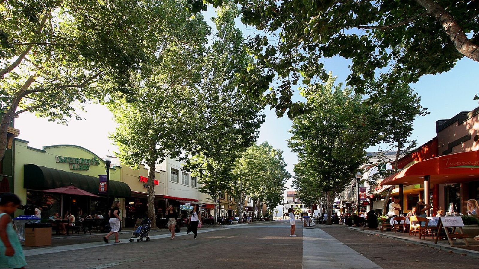 Dry Cleaning pickup and delivery in Sunnyvale, California